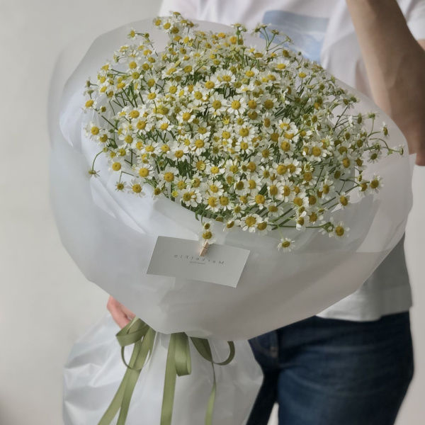 БУКЕТ ИЗ РОМАШЕК МАТРИКАРИЯ